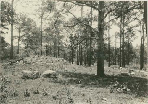 Two stones and parallel mounds