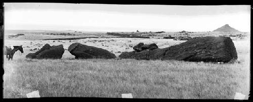 Horse and large broken moai