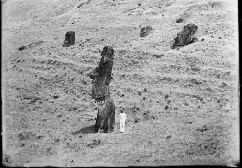 Man standing next to moai on west face of outer rim of Rano Raraka