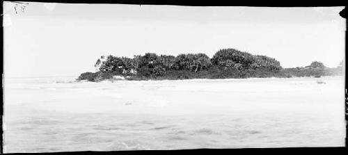 Islet covered with vegetation