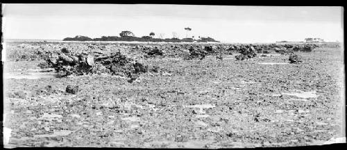 Line of demarcation between the reef rock flat and eroded face of old land line