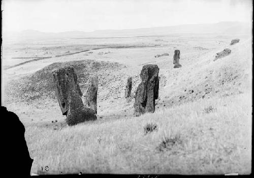 Moai on western face of rim of Rano Raraka