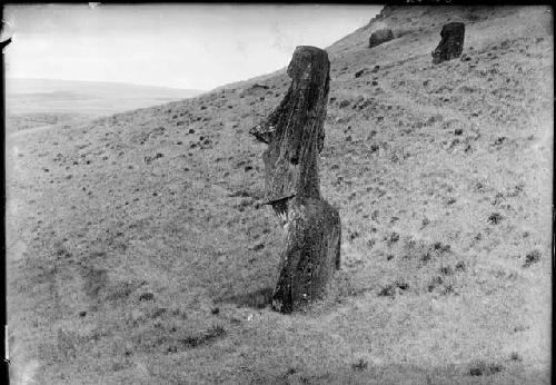 Moai on west face of outer rim of Rano Raraka