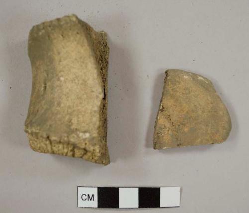 Bone C, fragments of cow vertebra