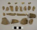 Assorted bone fragments