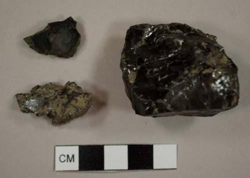 Anthracite coal, including one possible charcoal fragment