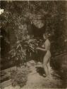 Native Maya girl in the nude