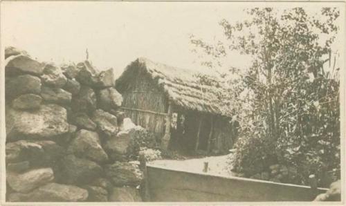 Building with grass roof