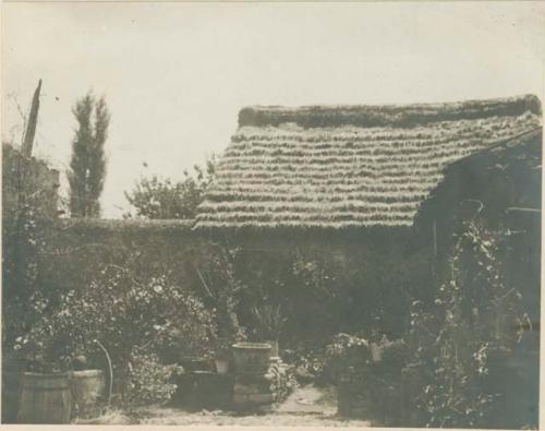 House with garden