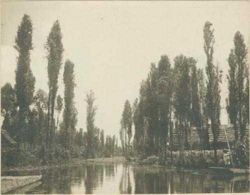 Canal of Xochimilco