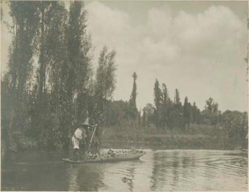 Man rowing a chalupa