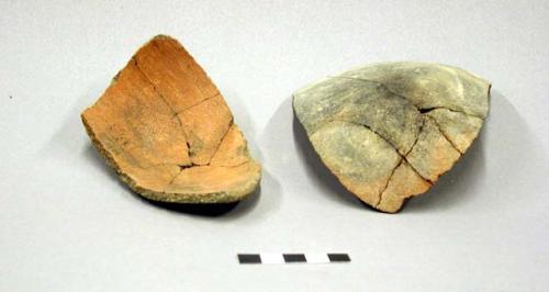 Ceramic sherds