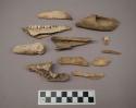 Bones of deer, split, fragments