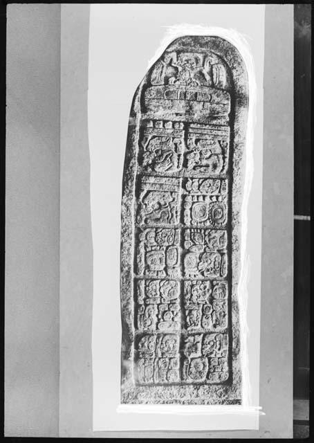 Stela 11 from Machaquila , photograph