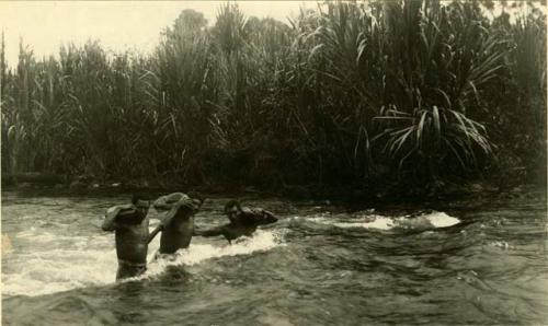 Talamanca Indians crossing torrent, weighted down with heavy stones for their safety