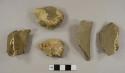 Large mammal bone fragments