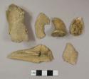 Bone fragments from large mammal