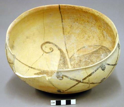 Bowl, san bernardo polychrome. int: curvilinear design; ext: linear design.