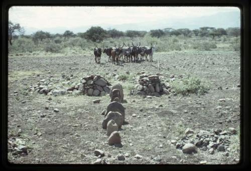 Grave markers? - Ethiopia