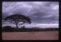 Color slides, Robert Gardner, Ethiopia, 1971 Hamar