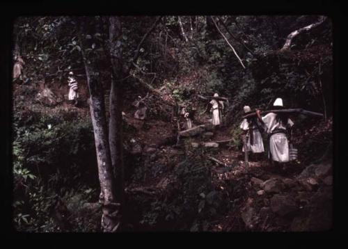 Ika men walking through woods





