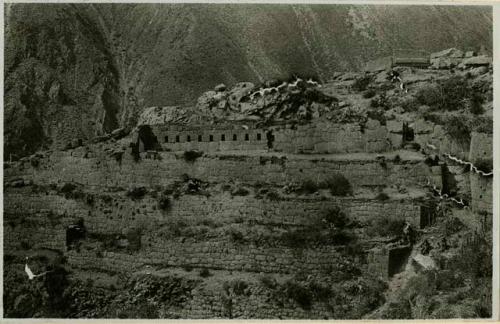 Terraces at Ollantaytambo