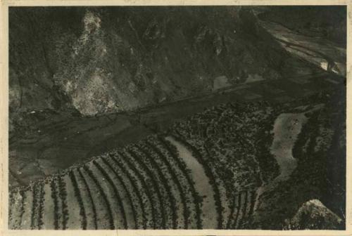 Terraces of Pisac