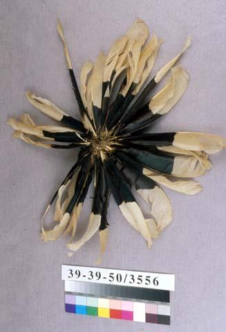 Feather headdress; Feathered headdress of black and white feathers (njuli)