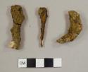 Nail fragments, including one possibly handwrought nail