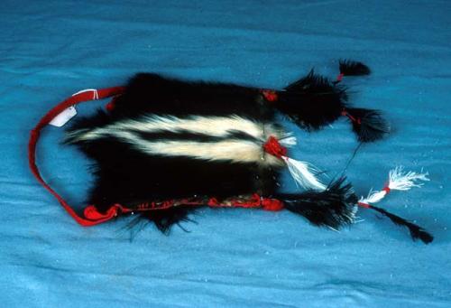 Skunk skin cap for man - feathers along top; woven red woolen chin band