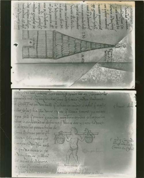 Oviedo manuscript pages
