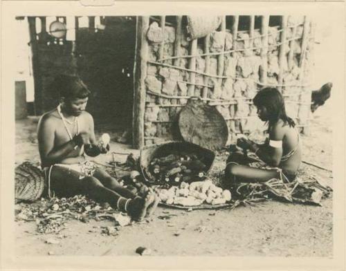 Wapisiana girls scraping off skin of cassava bulbs