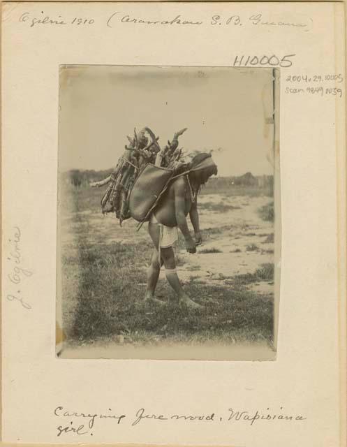 Wapisiana girl carrying fire wood