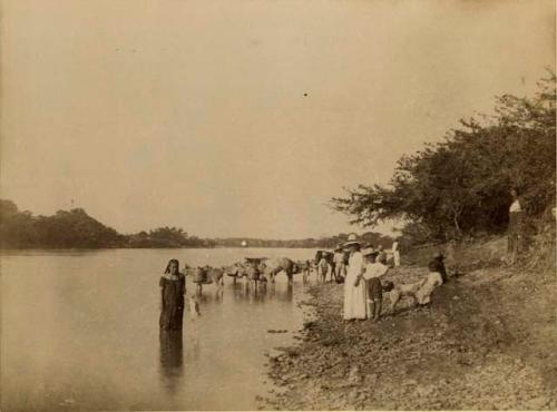 People and pack mules on river bank