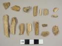 Small animal bones