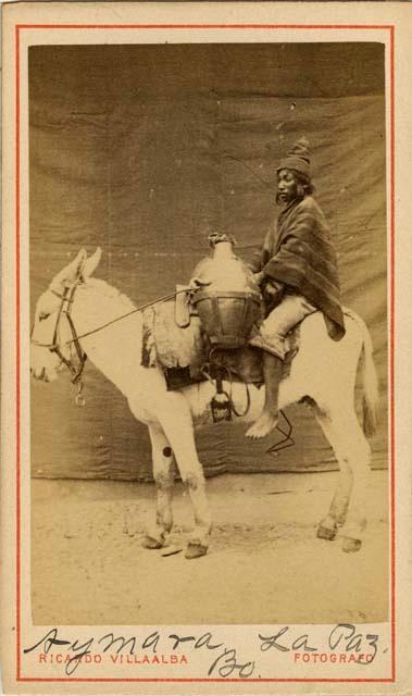 Studio portrait of man sitting on burro