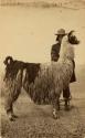 Man with llama