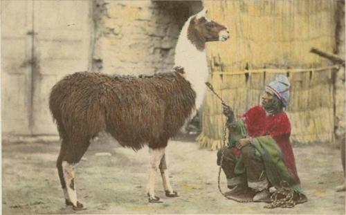 Man with llama