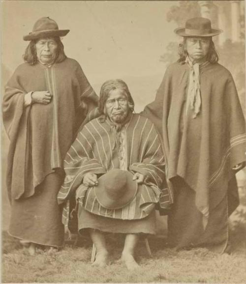 Studio portrait of a group of three men