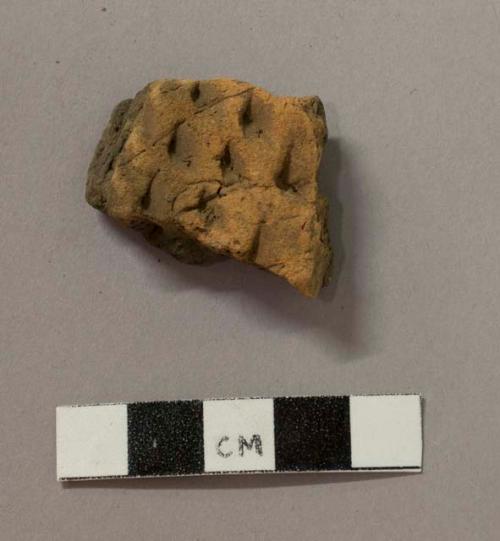 Ceramic body sherd