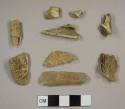 Assorted animal bone fragments