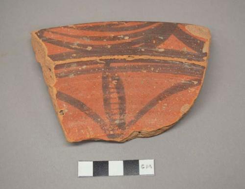 Painted potsherd (5.0" long)