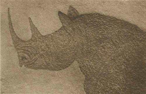 Rock engraving of rhino