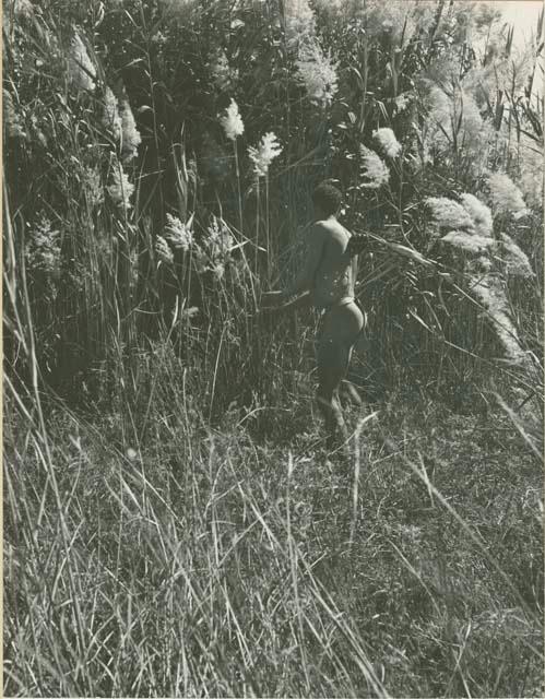 Man standing next to reeds that are used to make arrow shafts (print is a cropped image)