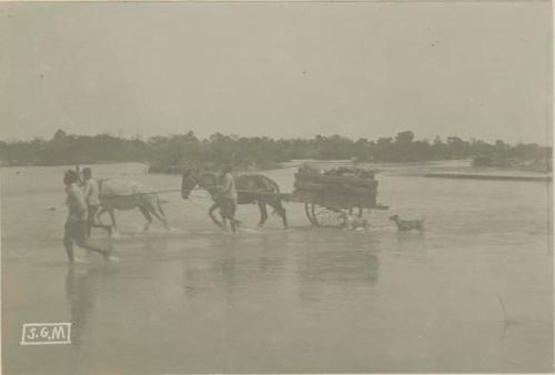 Crossing the Morondava