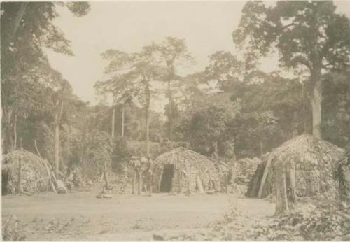 Huts of Moera village, with old forest in background