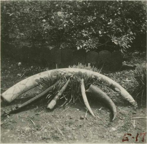 Carved ivory and horn