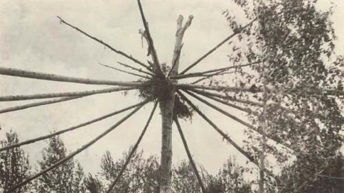 Frame for the Sundance lodge, view of top