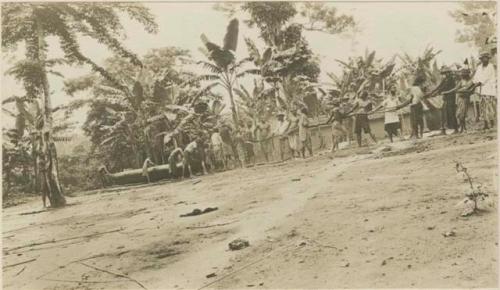 Dragging a dug-out canoe through a village en route from forest