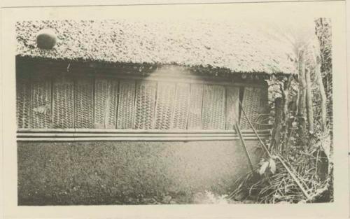 Hut with carved panels